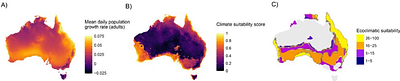 Boring beetles and super models: mapping the distribution of a new invader
