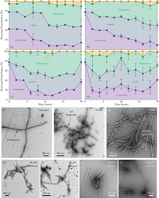 Small molecule ensembles reshape amyloid aggregation landscapes