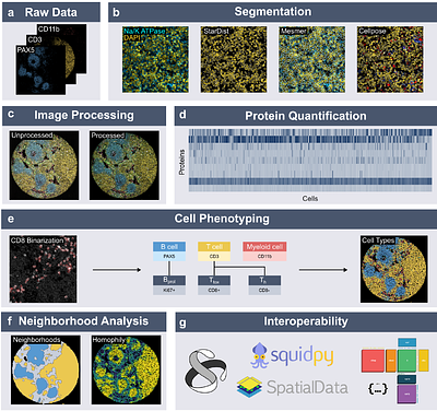 Spatialproteomics - an interoperable toolbox for analyzing highly multiplexed fluorescence image data