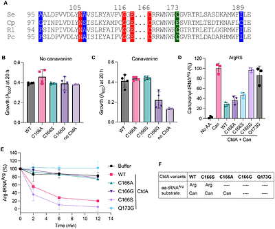 Mechanistic and evolutionary insights into a family of aminoacyl-tRNA deacylases that protects against canavanine toxicity