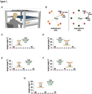Interaction between Model-based and Model-free Mechanisms in Motor Learning
