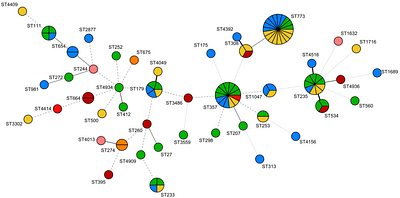 Mechanisms involved in cefiderocol resistance in French Pseudomonas aeruginosa clinical strains