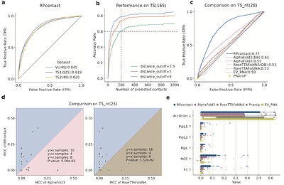 RPcontact: Improved prediction of RNA-protein contacts using RNA and protein language models