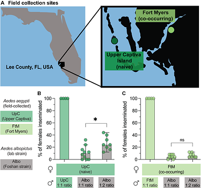 Aedes aegypti from a Population Co-occurring with Aedes albopictus Show Species-Selective Premating and Postmating Resistance to Reproductive Interference