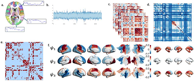 Functional connectome harmonics capture early brain organization and maturity in neonates
