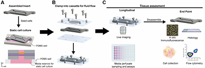 Democratizing Organ-on-Chip Technologies with a Modular, Reusable, and Perfusion-Ready Microphysiological System