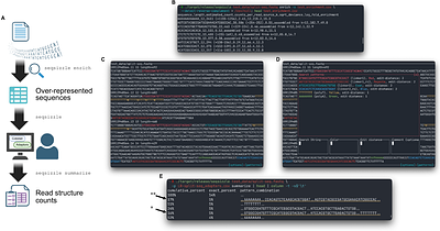 seqsizzle: decoding complex barcode and adapter architectures in long-read sequencing data