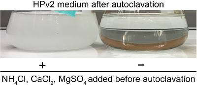 A defined growth medium for trace metal limitation studies in  Auxenochlorella sp.  (UTEX 250-A) during mixotrophic growth with glucose.