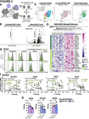 Loss of Vpr-driven TRAIL-R2 expression protects HIV-infected cells from non-canonical NK cell TRAIL attack