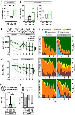Enhancing Adult Neurogenesis Rescues Hippocampal Cognitive Functions in an Alzheimer's Mouse Model