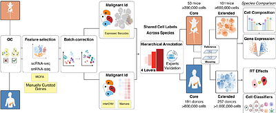 Cross-species single-cell atlases chart progression, therapy-driven remodelling and immune evasion in pancreatic cancer