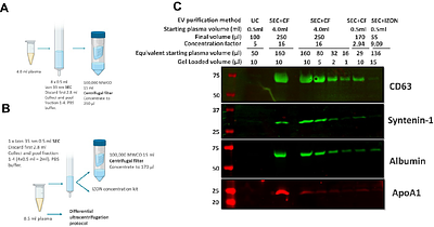 Combining Anion Exchange and Size Exclusion Chromatography for Extracellular Vesicle Enrichment from Small Volumes of Human and Mouse Plasma for Quantitative Proteomics