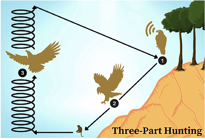 Nature-inspired optimization, the Philippine Eagle, and cosmological
  parameter estimation