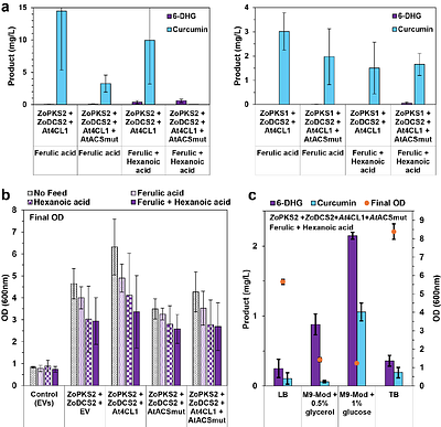 Identification of type III polyketide synthases from Ginger for dehydrogingerdione and curcumin biosynthesis by engineered Escherichia coli