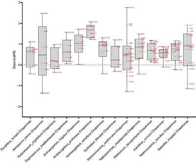 On adaptation to a mesophilic environment and the chaperone network in Archaea