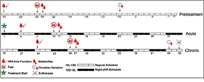 Mimicking the night shift: Hypothalamic-pituitary-adrenal (HPA) axis regulation, energy homeostasis, and oxidative stress in a model diurnal songbird