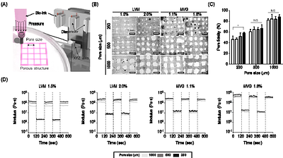 Scalable 3D Bioprinting of Human Islets in a Pancreatic Decellularized Extracellular Matrix-Enriched Bioink for Beta-Cell Replacement Therapy