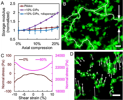 Tissue-like compression stiffening in biopolymer networks induced by aggregated and irregularly shaped inclusions
