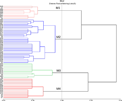 A Comparative Study of Novel Microscopic Entities in Rock Samples: Implications for Panspermia and the Origin of Life.