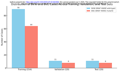 XpressO-Melanoma: An Explainable Deep Learning Model for the Prediction of BRAF V600 Mutation Status in Cutaneous Melanomas