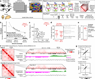 Whole-genome 3D architectural screen reveals modulators of brain DNA structure