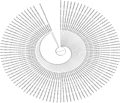 The Origin and Migration of the Ameru Community in Kenya based on mtDNA analysis.
