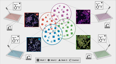 Closing the Domain Gap in Biomedical Imaging by In-Context Control Samples