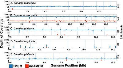Fungal microbial enrichment method enables fungal metagenomics directly from human clinical samples