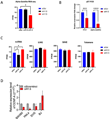 Linker Histone H1.5 Contributes to Centromere Integrity in Human Cells