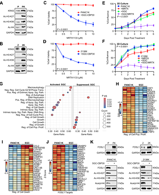 Resistance to the KRASG12D Inhibitor MRTX1133 is Associated with Increased Sensitivity to BET Inhibition
