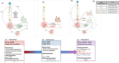Intracellular and extracellular dynamics of herpes simplex virus 1 DNA and infectious particles in epithelial and neuronal cells