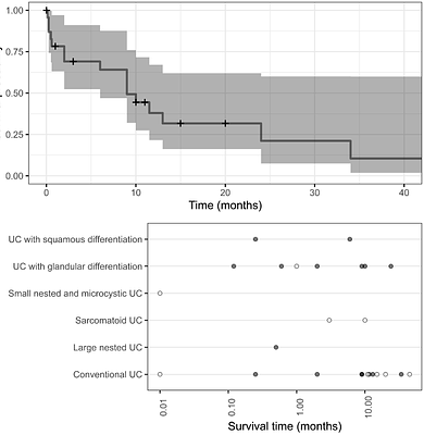Frequency and Characterization of Rare Histologic Subtypes in Canine Invasive Urothelial Carcinoma