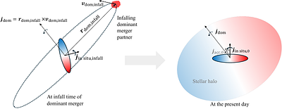 Galaxy mergers and disk angular momentum evolution: stellar halos as a critical test