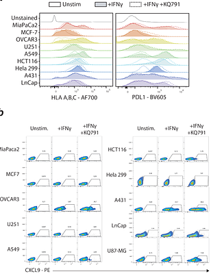 The PTPN1 and PTPN2 phosphatases are Cooperative Regulators of Cancer Cell Immune Evasion