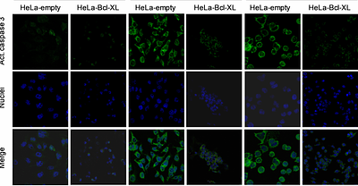 Antiproliferative Activity of Cephalotaxus Esters: Overcoming Chemoresistance in Cancer Therapy