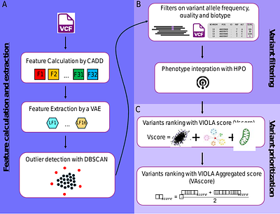 Accelerate the discovery of genetic variants in mitochondrial diseases with VIOLA: Variant PrIOritization using Latent space