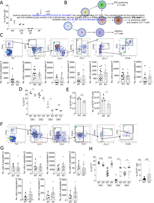 CD200R1 is required for the development of γδ 17 T cells
