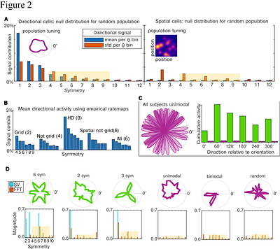 Can grid cells produce hexadirectional signals?