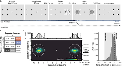 Dissociable effects of feature expectation on saccades and presaccadic perception