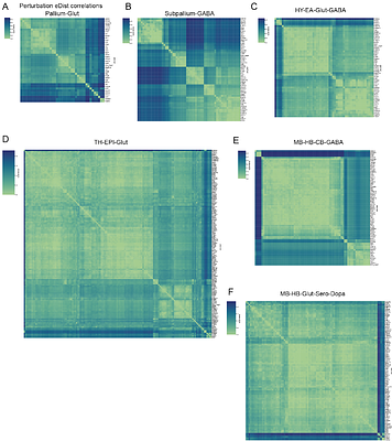 Genome-scale functional mapping of the mammalian whole brain with in vivo Perturb-seq