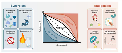 Mixtures that Matter: Correlation Patterns in Antibacterial and Cytotoxic Activities of Five Hop Isolates