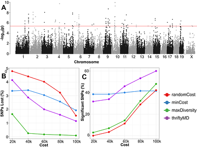 Optimizing Strain Selection for Association Studies Under Hard Cost Constraints