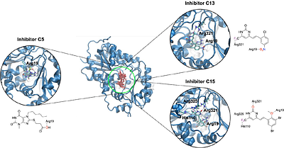 Quantitative analysis of inhibitor-induced assembly disruption in human UDP-GlcNAc 2-epimerase using mass photometry