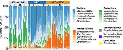 Spatial characterization of microbiota profiles along the gut in a widely used mouse model: effects of high-fat diet and fructooligosaccharides