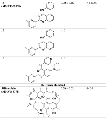 Discovery and structure-activity relationship analysis of 2-Pyridyl Thienopyrimidine derivatives as promising therapeutic candidates for the treatment of Buruli ulcer