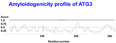 AmyloGram Reveals Amyloidogenic Potential in Stroke Thrombus Proteomes