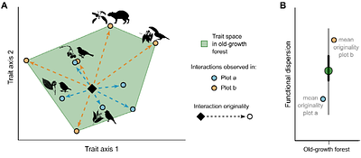 Delayed recovery of seed-dispersal interactions after deforestation