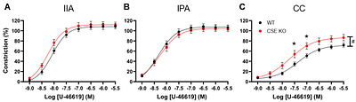 Cystathionine γ Lyase Deletion Enhances Corpus Cavernosum Contraction via Thromboxane A2 and Neurogenic Pathways Without Affecting Endothelial Function