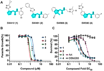 Identification of α-azacyclic acetamide-based inhibitors of P. falciparum Na+ pump (PfATP4) with fast-killing asexual blood-stage antimalarial activity by phenotypic screening