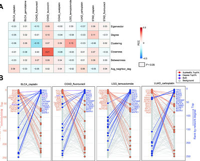 A network-based deep learning model integrating subclonal architecture for therapy response prediction in cancer